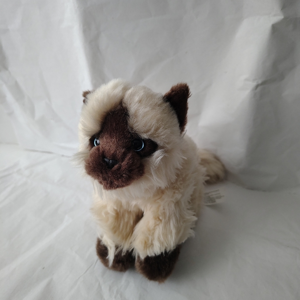 Toys R Us Siamese/Himalayan Cat Plush 11” Kitten Stuffed Animal